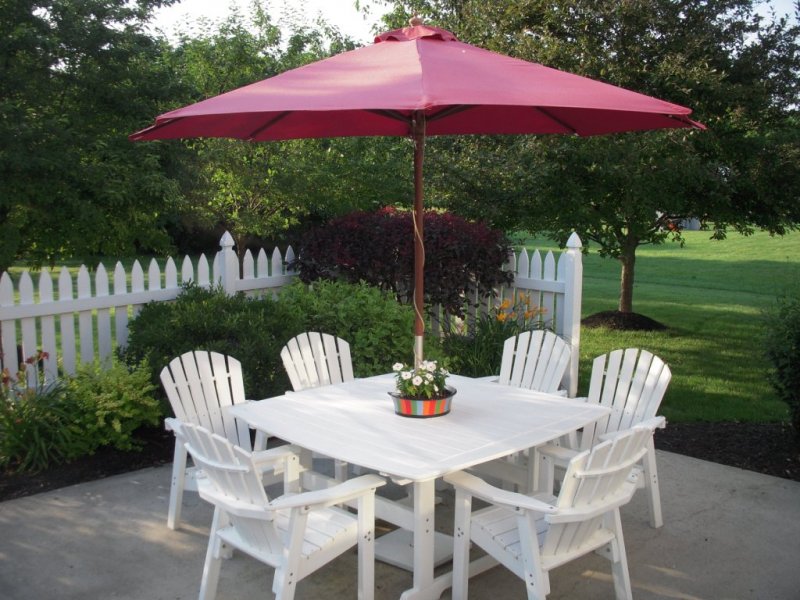 Traybrella 2010 008
